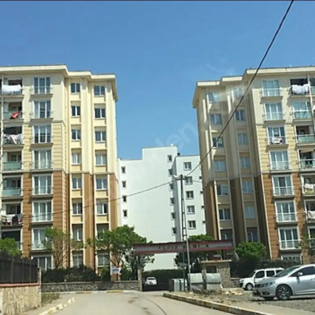 ŞEHİR ALMİNA